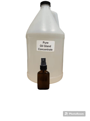 10X Whitetail Deer Gland Oil - TRHP Outdoors